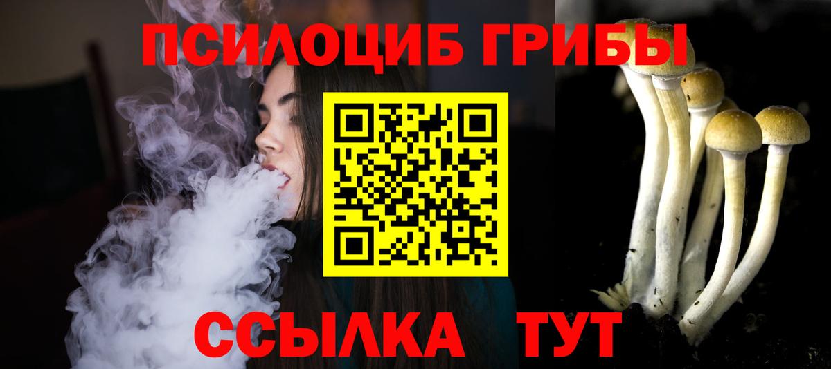 Галлюциногенные грибы Cubensis Советская Гавань